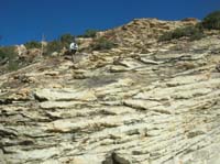 21-vearing_to_the_left_(east)