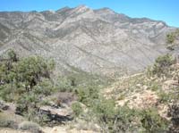 28-heading_down_North_Peak_trail-La_Madre_Mountains_in_background