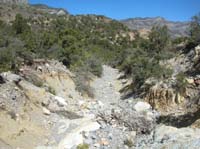 30-pretty_scenery_back_in_the_main_wash