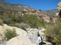 31-below_the_section_where_Pink_Jeep_Tours_stops_on_Rocky_Gap_Road-met_Don_W._there_on_the_way_up