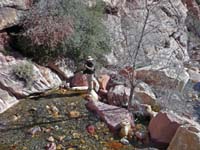 11-me_taking_the_pictures_of_previous_scenes-from_Larry