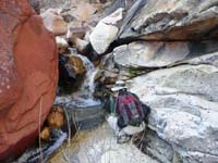 18-me_taking_the_picture-from_Larry