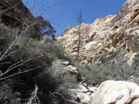 29-don't_go_further_up_the_canyon_towards_Diablo's_profile