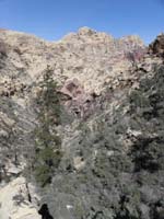 61-scenic_view_down_canyon_including_Bridge_Mountain-portrait_view