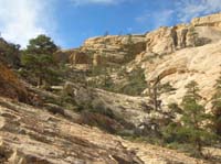 21-scenic_view_of_the_terrain