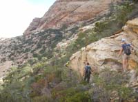 22-now_to_traverse_some_dreaded_brush-more_scars_on_our_legs