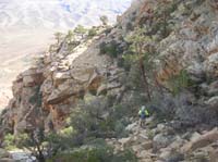 25-after_a_break-Harlan_leading_us_on