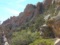 27-Harlan_and_Jim_leading_us_through_more_brush