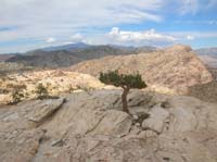 76-view_from_Hidden_Peak_looking_NNW