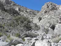 48-looking_back_at_the_wash-proper_way_to_travel