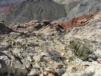 39-the_way_down-looks_easier_than_it_was