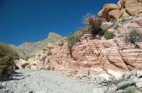 68-looking_back_up_wash-Turtlehead_Peak_in_background