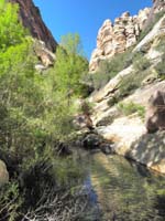 05-pretty_view_with_water,vibrant_trees,and_cliffs