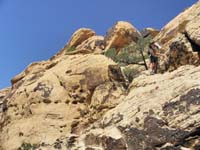 21-Hmmm-which_way_to_go-exposure_doesn't_appeal_to_Mike-used_my_back_to_step_down