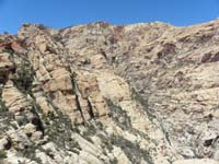 40-scenic_views_looking_further_down_Fern_Canyon