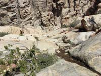 42-some_water_flowing-route_looks_very_good-seems_like_very_nice_shortcut