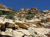 49-Mike_coming_down_from_the_ridgeline-we_are_now_running_out_of_water_and_getting_hot