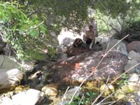 52-Mike_laid_in_water-I_dumped_my_head,feet,shirt,hat_and_bandana-felt_wonderful