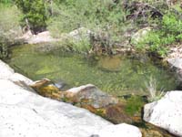 55-another_really_nice_pool-deep_enough_to_swim_but_Mike_is_late_for_an_engagement