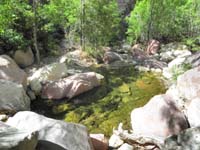 56-another_nice_pretty_pool-water_is_getting_warmer_further_down_canyon