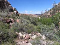 60-Mike_leading_the_way-we_are_now_done_with_the_wash-all_trail_from_here-one_more_mile_to_go