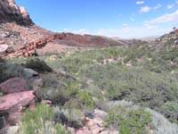 61-pretty_scenery_on_the_way_out