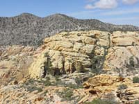 10-Peppe_took_route_straight_ahead-I_came_down_gully_with_all_the_plants_and_trees_to_right