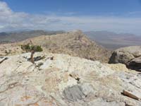 12-view_from_Hidden_Peak_looking_north_towards_Indecision_Peak