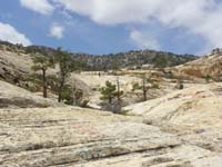 23-pretty_scenery-looking_back_to_the_direct_route_to_The_Park