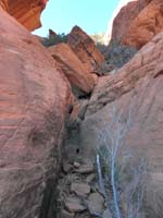 10-typical_terrain_to_scramble