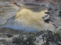 22-zoomed_view_of_frozen_Calico_Tank-I_stood_in_center_later