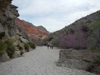 55-me,Laszlo,Ed_hiking_in_scenic_wash_with_Red_Buds-from_Luba