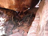 21-rock_cave_to_crawl_through-although_keyhole_down_is_before_cave_and_to_right