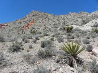 03-reached_a_point_near_the_saddle_to_go_towards_worn_path_up_slope-steep_scree_slope