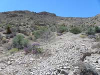 28-finished_drainage_descending_over_900_feet_over_.4_miles_in_22_minutes-looking_back_to_New_Peak