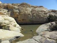 18-surprised_to_find_a_pond_a_little_below_peak_with_hoards_of_shrimp_swimming_the_cold_water-around_60