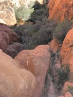 34-terrain_heading_down-quite_doable-openings_between_brush-very_minor_bushwacking_necessary