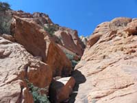 37-looking_back_up_that_drainage_I_scrambled_down