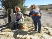 42-funny_creative_Calico_Basin_resident's_Halloween_figures_along_road