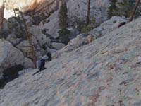 45-sure_is_interesting_crossing_this