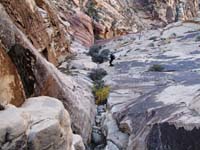 46-more_slab_to_go_down