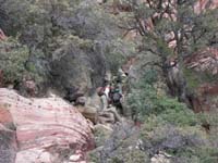 12-lots_of_brush_(many_sawed_off)_to_avoid_and_rocks_to_climb,lots_of_micro-route_finding