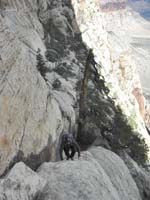 37-Keven_climbing_up_steep_slope_with_Sherwood_Forest_in_background