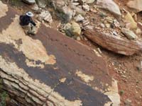 13-me_on_the_steep_rock_looking_at_the_dinosaur_tracks-from_Jim_Boone