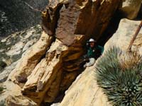 53-still_fooling_around_looking_scared-from_Luba