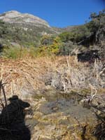 04-La_Madre_Spring-continuing_up_trail_to_the_cabin