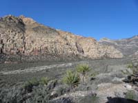 01-Goodman_Peak_seen_in_upper_left,start_at_Children's_Discovery_Trail_to_right