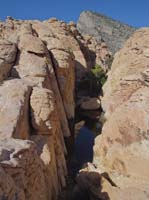 28-another_tank_with_Turtlehead_in_background