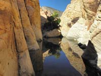 30-scenic_view_of_tank