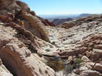 34-scrambling_out_with_lots_of_tenaja_with_shrimp-from_severe_storm_5_days_ago